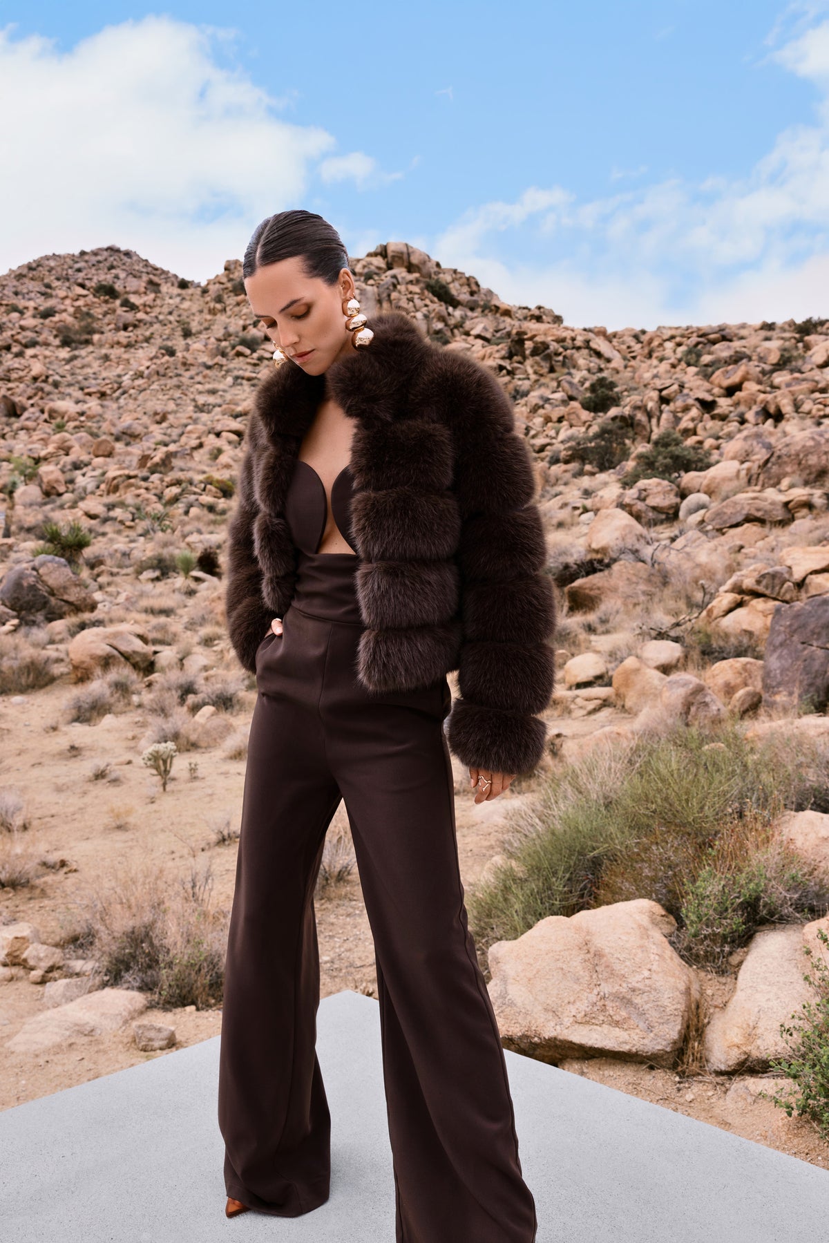 Elevated Evenings Faux Fur Jacket in Brown