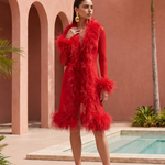 Wistful Thinking Long Sheer Ostrich Feather Coat in Red